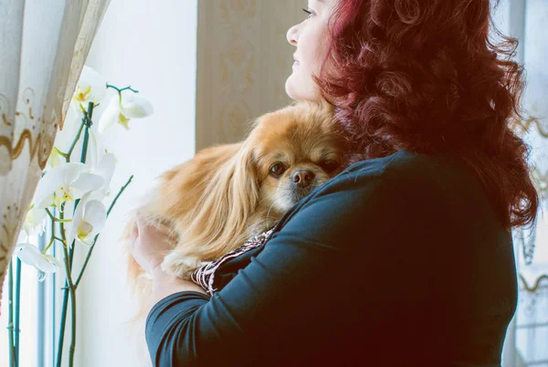 Dame Von Plusgröße Mit Kleinem Roten Pekinese Senior Hund Fenster — Stockfoto