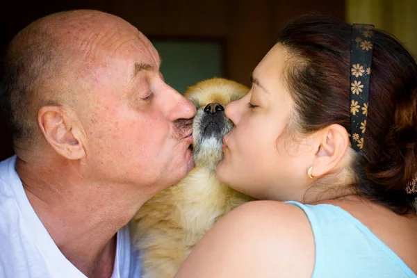 Счастливая Пара Целует Маленькую Собачку Любители Собак Люди Любят Питомца — стоковое фото