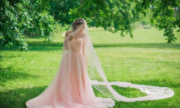 Něžná Elegantní Mladá Nevěsta Růžových Pastelových Svatebních Šatech Módní Luxusní — Stock fotografie