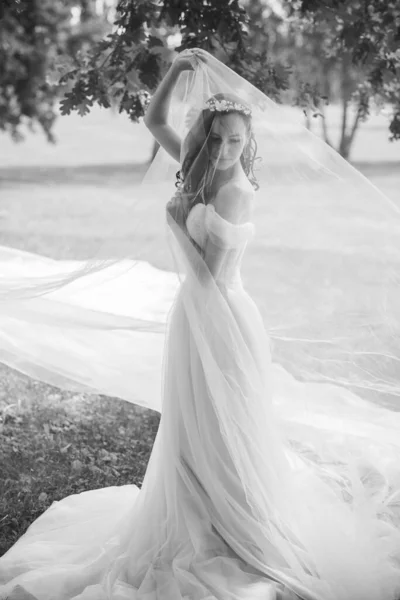 Tender Elegante Jovem Noiva Vestido Noiva Pastel Rosa Coleção Elegante — Fotografia de Stock
