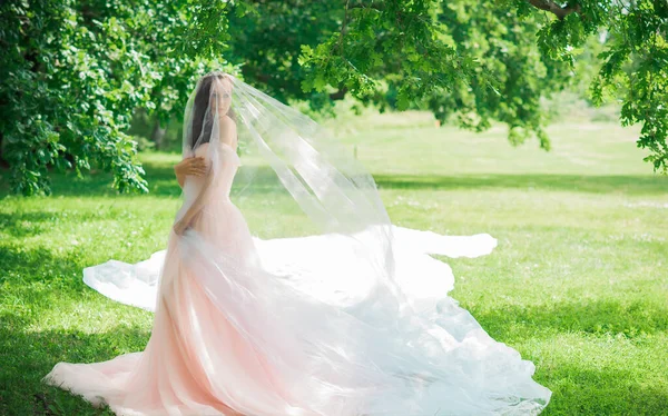 Tenera Elegante Giovane Sposa Abito Sposa Rosa Pastello Collezione Fantasia — Foto Stock