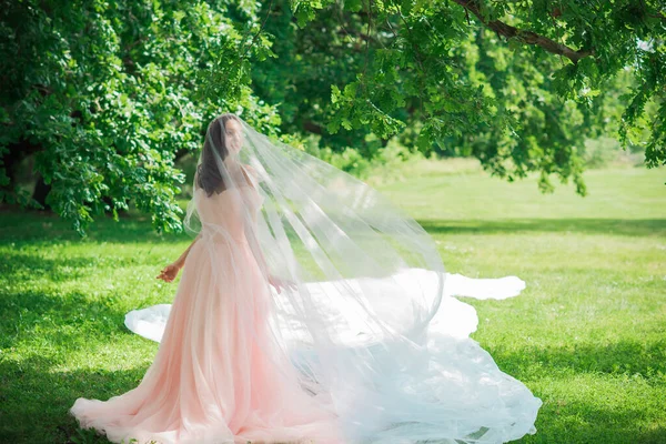 Tender Elegant Young Bride Pink Pastel Wedding Dress Fashionable Fancy — Stock Photo, Image