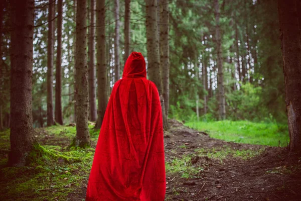 万圣节的概念 漂亮而简单的小红帽装束 雾蒙蒙的森林里神秘的头戴头巾的人影 穿着红色雨衣的女孩 科幻童话小红帽小红帽 — 图库照片