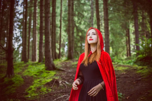 Cadılar Bayramı Kavramı Küçük Kırmızı Başlıklı Güzel Basit Bir Kostüm — Stok fotoğraf