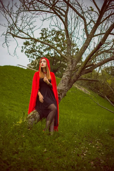 Concetto Halloween Costume Bello Semplice Piccolo Cappuccio Rosso Misteriosa Figura — Foto Stock