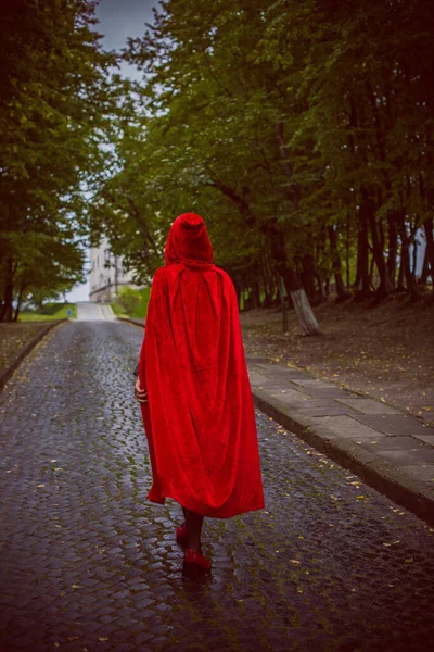 万圣节的概念 漂亮而简单的小红帽装束 雾蒙蒙的森林里神秘的头戴头巾的人影 穿着红色雨衣的女孩 科幻童话小红帽小红帽 — 图库照片