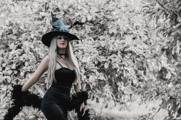 Halloween Taille Belle Sorcière Célébrer Costume Idées Fête Sorcellerie Dame — Photo
