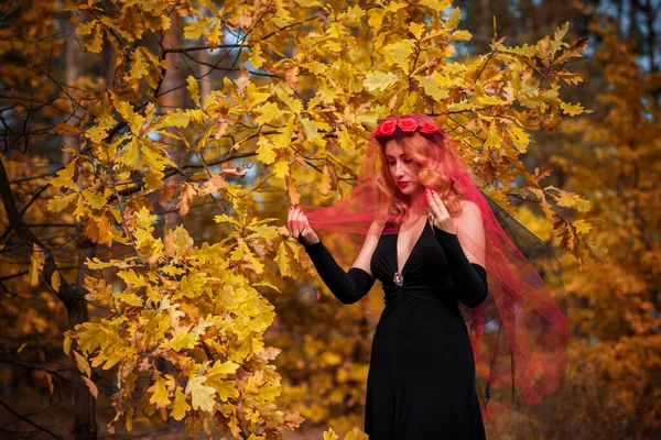 Tempo Mágico Noiva Outono Com Véu Vermelho Fantasia Ideias Para — Fotografia de Stock