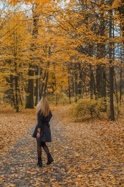 Sonbaharda parkta yürüyen Avrupa ve Ortadoğu görünümlü modern bir kadın. Şık mevsimlik kıyafetler, ılık ışık ve sonbahar renkleri rahat bir yaşam tarzı yaratıyor..