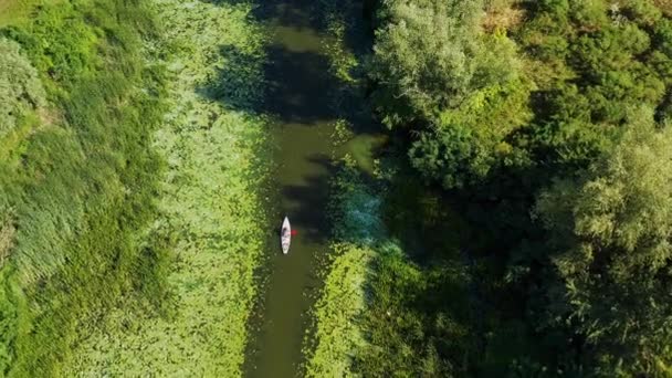 Légi Kilátás Sportoló Kajak Evezés Mentén Festői Folyó Partján Aerial — Stock videók