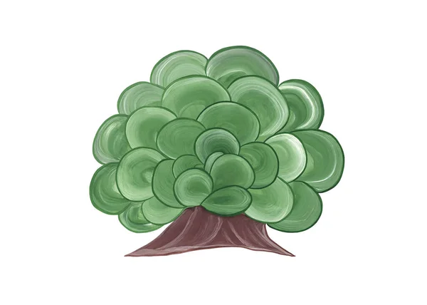 Zöld Buja Elvont Bokor Elszigetelt Fehér Háttérrel Ikon Akvarell Illusztráció — Stock Fotó
