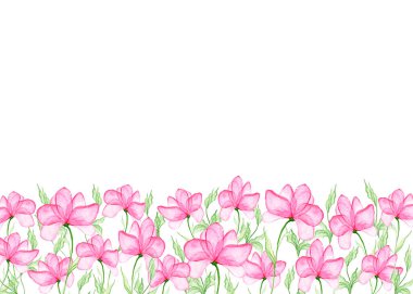 Beyaz arka planda pembe narin çiçekler. Yatay afiş, bir yazı için uygun. Suluboya çizimi. Botanik çiçek geçmişi. Kart tasarımı ve düğün davetiyeleri için..