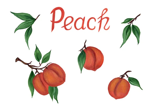 緑の葉を持つ桃のセット,碑文と,白い背景に孤立.ジューシーな甘いフルーツ現実的な水彩画のイラスト。メニューデザイン、パッケージについて. — ストック写真