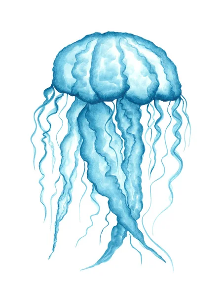 Blaue Qualle mit Aquarellstruktur auf weißem Hintergrund. Bewohner der Unterwasserwelt. Handgezeichnete Illustration. Für Design, Logo, Hintergrund, Postkarten, Aufkleber. — Stockfoto