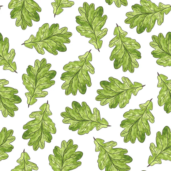 Green Oak Leaf White Background Seamless Pattern Watercolor Botanical Illustration — Stok fotoğraf
