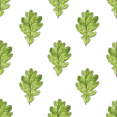 Beyaz arka planda yeşil meşe yaprakları. Kusursuz doğal desen. Suluboya çizimi. Kumaş üzerine baskı yapmak için.