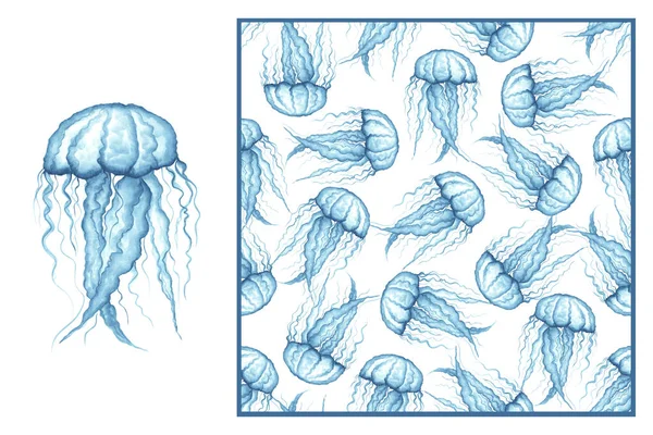 Set Medusa Translúcida Azul Com Tentáculos Longos Fundo Branco Padrão — Fotografia de Stock