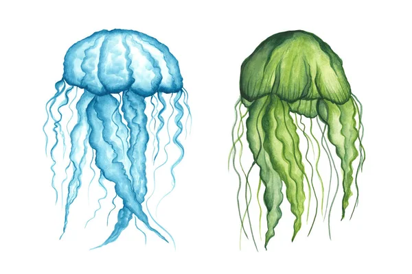Set - Medusa, verde e azul, isolado sobre um fundo branco. Natação de animais marinhos com um top guarda-chuva e longos tentáculos pendurados. Ilustração desenhada à mão aquarela. — Fotografia de Stock