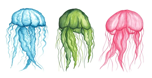 Collection d'animaux marins - méduses transparentes roses, bleues et vertes avec de beaux tentacules isolés sur un fond blanc. Illustration aquarelle. Faune faune éléments de style design. — Photo