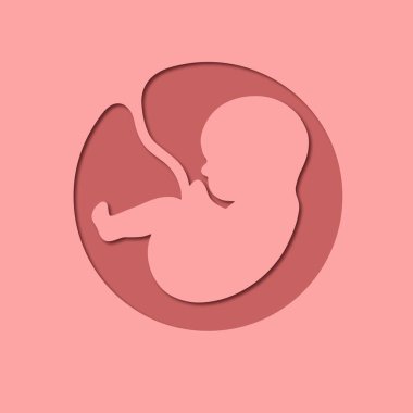 Kağıt kesim stili. Göbek bağı olan bir insan embriyosu. Rahimdeki bebek. Doğum öncesi veya üreme kliniği için şık bir logo, hamilelik broşürü, taşıyıcı annelik ajansı. 