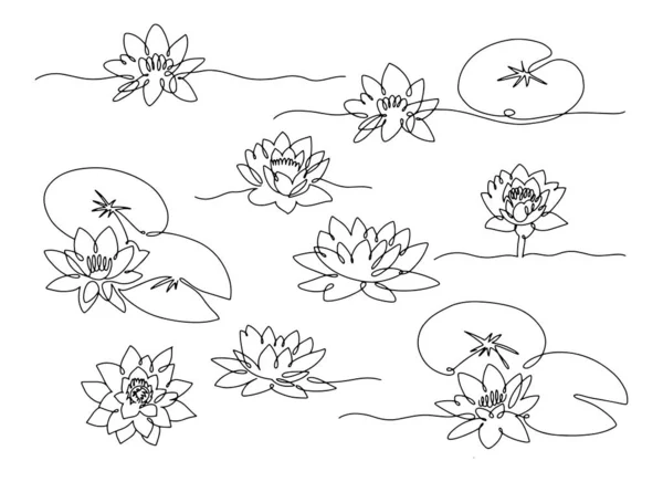 Line Art Seerose. Set minimaler Blüten mit Blättern Stockillustration