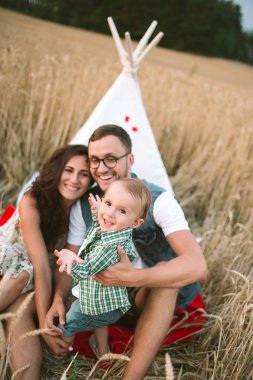 Genç hipster baba, anne şirin bebek oğul piknik üzerinde