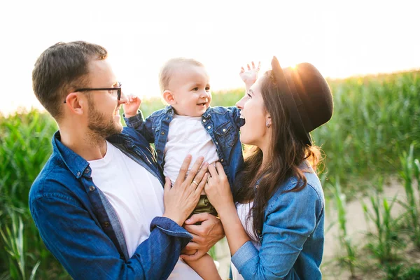 Joven padre hipster madre sosteniendo lindo bebé en campo de maíz — Foto de Stock