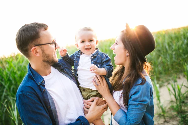 Joven padre hipster madre sosteniendo lindo bebé en campo de maíz — Foto de Stock