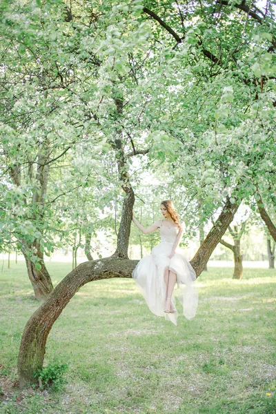 Novia joven en hermoso vestido de novia sentado en el árbol al aire libre —  Fotos de Stock