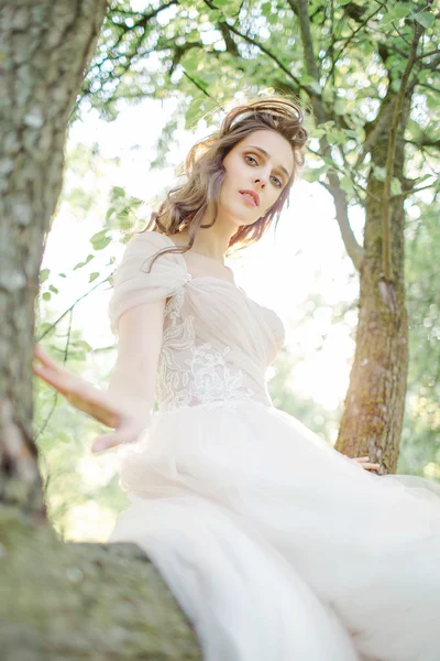 Novia joven en hermoso vestido de novia sentado en el árbol al aire libre —  Fotos de Stock