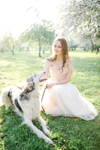 Joven novia hermosa en vestido de novia con galgo al aire libre —  Fotos de Stock