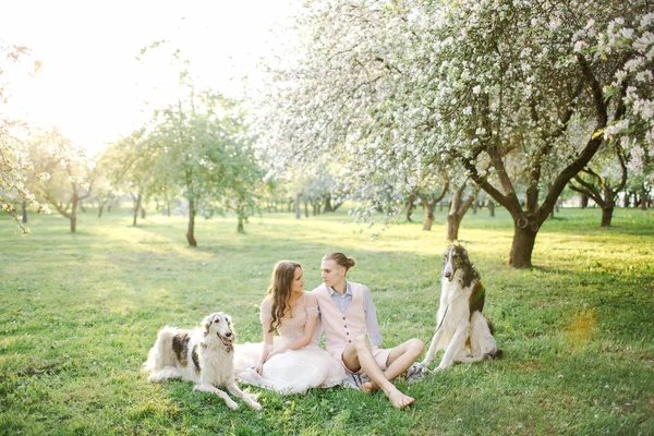 Hermosa pareja joven en vestido de novia con galgos en el parque —  Fotos de Stock