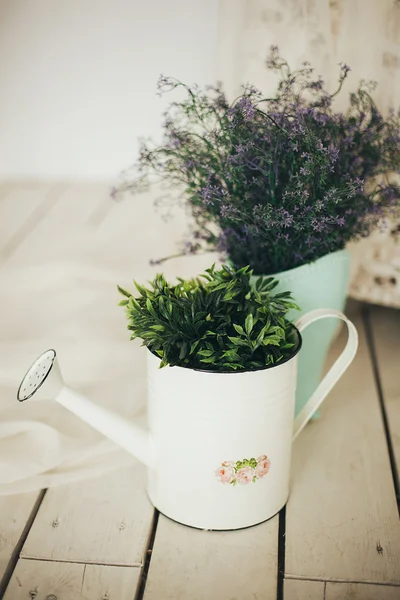 Çiçekler ve saksı ve retro sulama olabilir yeşil bitkilerde — Stok fotoğraf