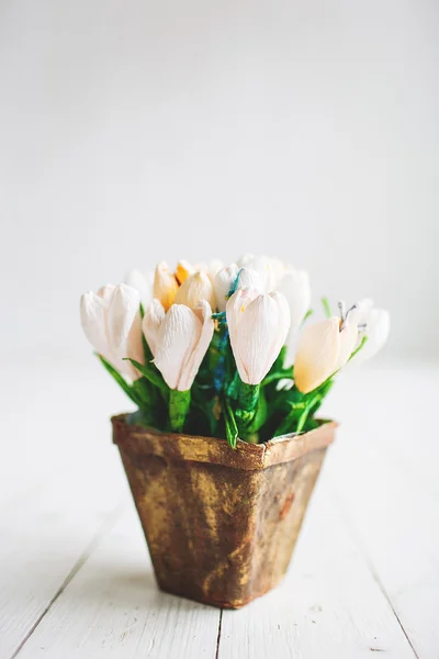 Schöne weiße Blumen im Topf auf Holzgrund — Stockfoto