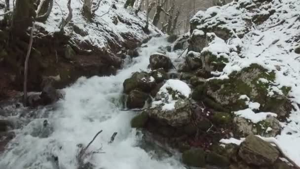 Ormandaki karlı Nehri'nin havadan görünümü — Stok video