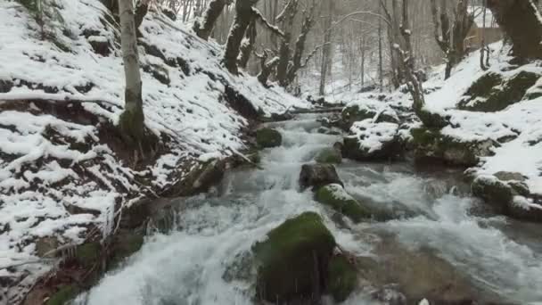 Воздушный вид на снежную реку в лесу — стоковое видео
