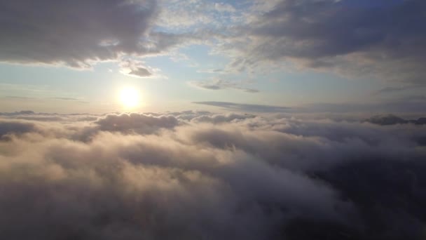 Pandangan udara di atas awan — Stok Video