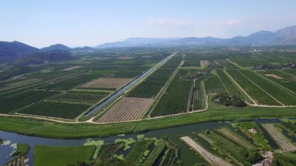 Vue aérienne de la belle vallée de Neretva dans le sud de la Croatie . — Video