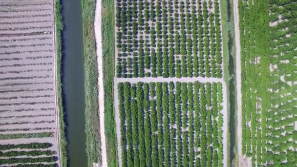 Flygfoto över vackra Neretva dalen i södra Kroatien. — Stockvideo