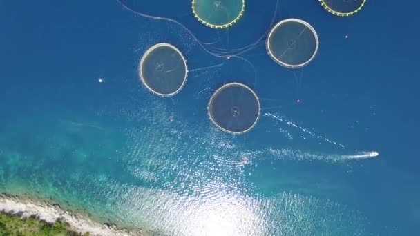 Aerial view of fish farm near the island of Dugi otok — Stock Video