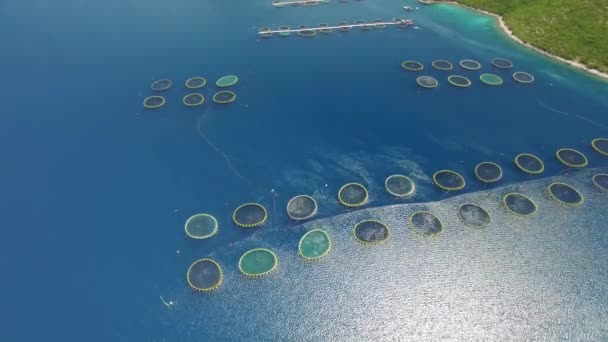 Widok z lotu ptaka hodowli ryb w pobliżu wyspa Dugi otok — Wideo stockowe