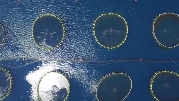 Letecký pohled na rybí farmě poblíž ostrova Dugi otok — Stock video