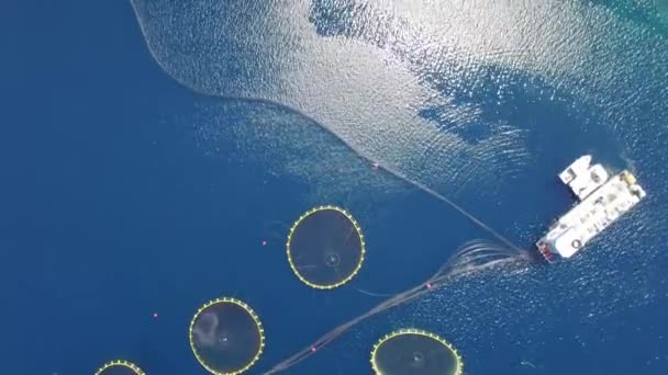 Aerial view of fish farm near the island of Dugi otok — Stock Video