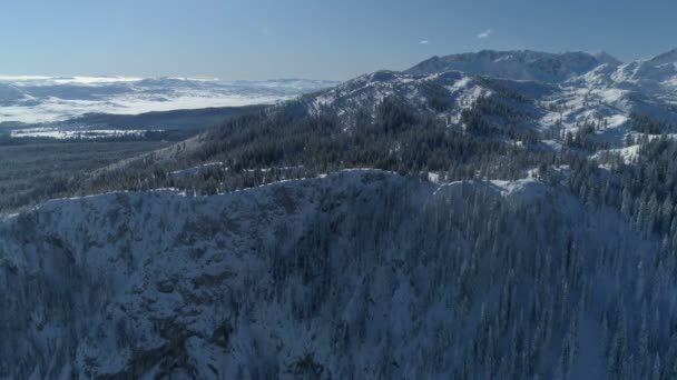 Lot nad pokrytym śniegiem lasem świerkowym z górami w tle — Wideo stockowe