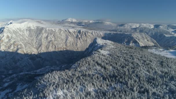 Volo sopra la foresta di abeti innevati con montagne sullo sfondo — Video Stock