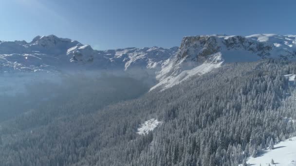 Voo sobre a floresta de abetos coberta de neve com montanhas ao fundo — Vídeo de Stock