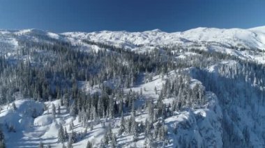 Arkasında dağlar olan karla kaplı ladin ormanının üzerinden uçmak.