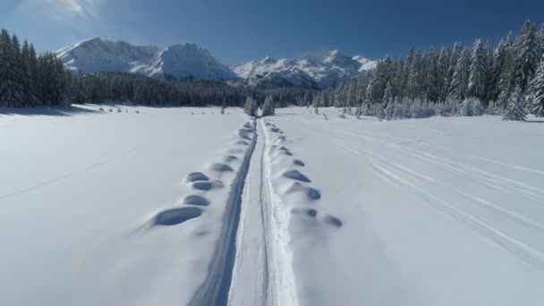 Voo sobre a floresta de abetos coberta de neve com montanhas ao fundo — Vídeo de Stock