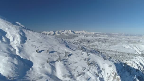 Vuelo sobre el bosque de abetos cubierto de nieve con montañas en el fondo — Vídeos de Stock