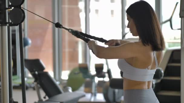 Retrato de una hermosa atleta profesional durante el entrenamiento muscular en el gimnasio. Entrenamiento de hombro en el gimnasio. — Vídeos de Stock